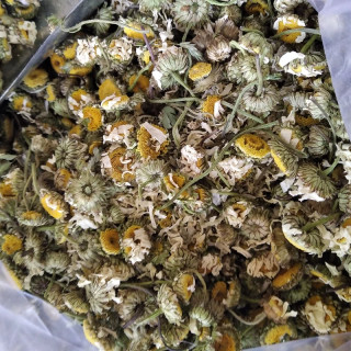 بابونه شیرازی ( 100) گرم