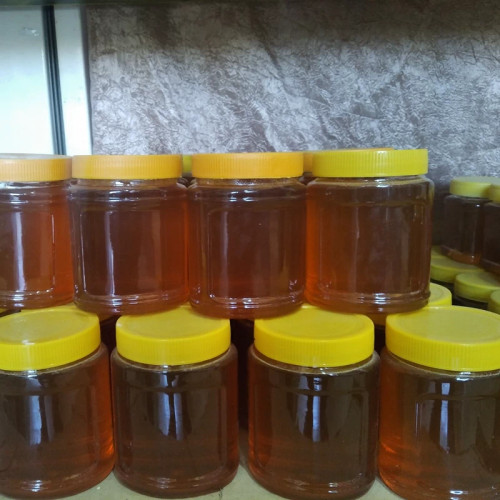 عسل گشنیز طبیعی